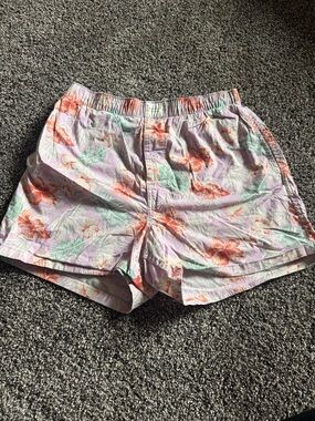 American Eagle Outfitters Lavender Floral Boxer Shorts with Coral Print